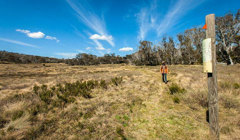Goldseekers Track - Kalgoorlie Accommodation 0