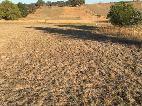 Gunning Golf Club - Kalgoorlie Accommodation 0