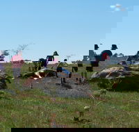 Jim Salmon  Wetland Education Site - Kalgoorlie Accommodation