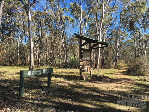 Kaiserstuhl Conservation Park - Kalgoorlie Accommodation 0