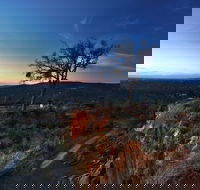 Kalamunda National Park - Kalgoorlie Accommodation