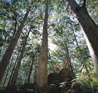 Leeuwin-Naturaliste National Park - Leeuwin - Kalgoorlie Accommodation