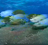 Lodestone Reef - Kalgoorlie Accommodation