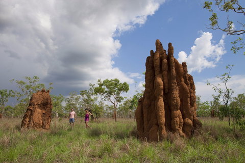 Magnetic Termite Mounds - Kalgoorlie Accommodation 2
