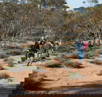 Mallee Stop walking track - Kalgoorlie Accommodation