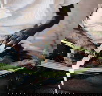 Marrawuddi Gallery - Kalgoorlie Accommodation