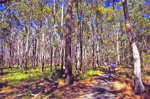Moogerah Peaks National Park - Kalgoorlie Accommodation 1