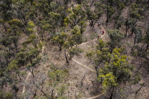Mountain Bike Trails Deniliquin - Kalgoorlie Accommodation 1