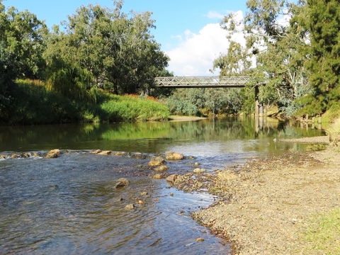 Namoi River And Woolshed Reserve - Kalgoorlie Accommodation 0