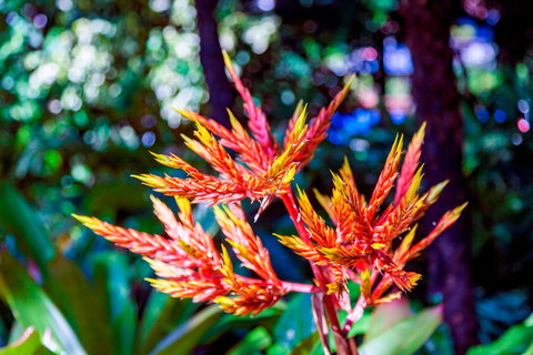 Queens Gardens - Kalgoorlie Accommodation 2