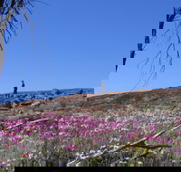 Talgomine Reserve - Kalgoorlie Accommodation