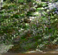 Way Way Creek Road Drive - Kalgoorlie Accommodation