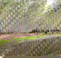 Wonga Wetlands - Kalgoorlie Accommodation
