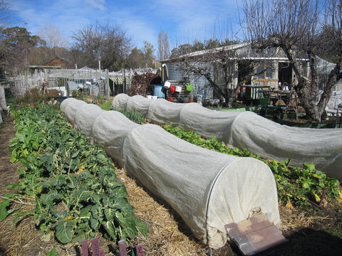Wynlen House: Tour A Unique Urban Regenerative Farm And Market Garden - Kalgoorlie Accommodation 0