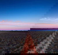 Yanga National Park - Kalgoorlie Accommodation