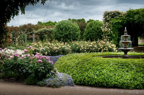 Alowyn Gardens And Nursery - Kalgoorlie Accommodation 1