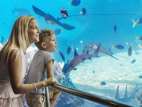 Australia's Sea World - Kalgoorlie Accommodation 2
