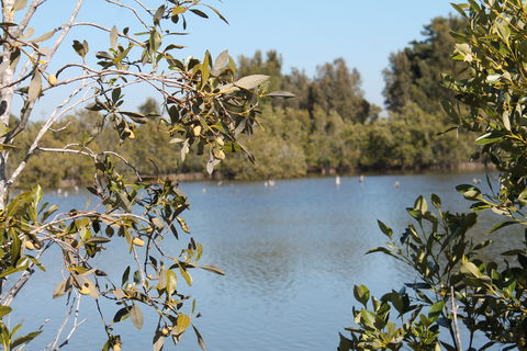 Boyters Lane Bird Hide - Kalgoorlie Accommodation 2