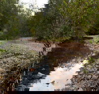 Budawang National Park - Kalgoorlie Accommodation