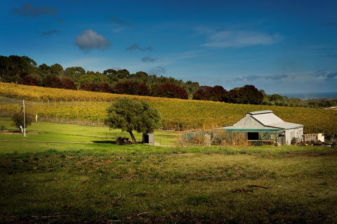 Coast To Vines Rail Trail - Kalgoorlie Accommodation 2