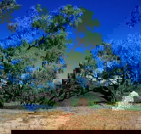 Comet - Kalgoorlie Accommodation