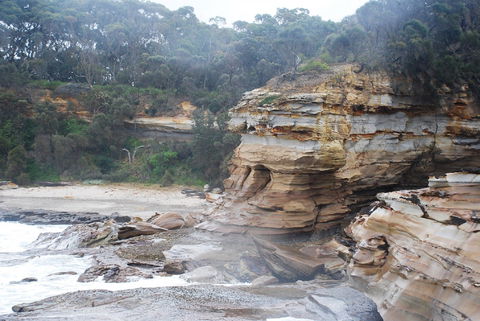 Cookies Beach Picnic Area - South Durras - Kalgoorlie Accommodation 2