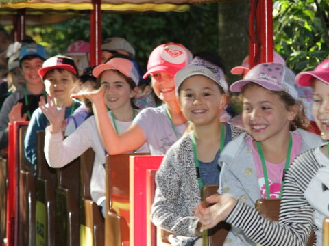 Currumbin Wildlife Sanctuary - Kalgoorlie Accommodation 1