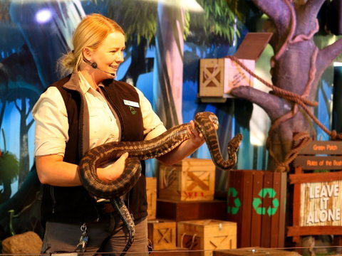 Currumbin Wildlife Sanctuary - Kalgoorlie Accommodation 2