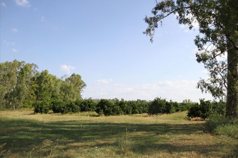 Dululu - Kalgoorlie Accommodation 1