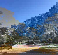 Grenfell Endemic Garden - Kalgoorlie Accommodation