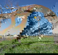 Greenough Leaning Trees - Kalgoorlie Accommodation