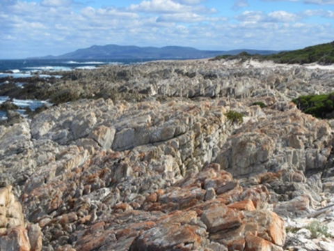 Hakea Walk Trail, East Fitzgerald National Park - Kalgoorlie Accommodation 1