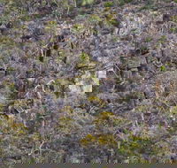 Horsnell Gully and Giles Conservation Parks - Kalgoorlie Accommodation