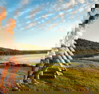 Killalea Reserve - Kalgoorlie Accommodation