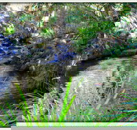 Kin Kin - Kalgoorlie Accommodation