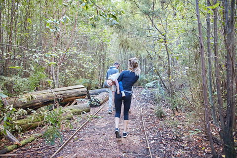Lyrebird Circuit Walk - Kalgoorlie Accommodation 1