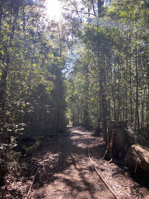 Lyrebird Circuit Walk - Kalgoorlie Accommodation 2