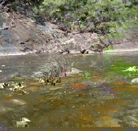 Mount Boss State Forest - Kalgoorlie Accommodation