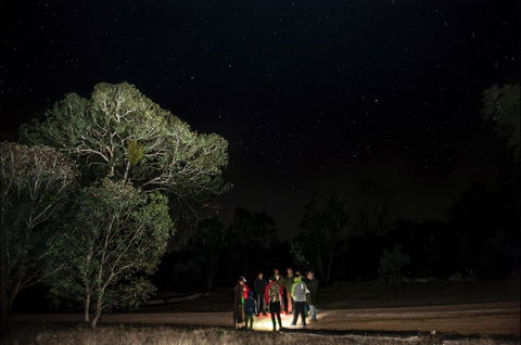 Mulligans Flat Woodland Sanctuary - Kalgoorlie Accommodation 1