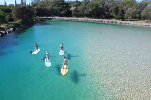 Paddleboard At Back Creek South West Rocks - Kalgoorlie Accommodation 0