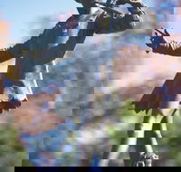 Queens Gardens - Kalgoorlie Accommodation