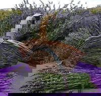 Rustique Lavender Farm - Kalgoorlie Accommodation