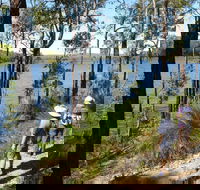 Wellington Discovery Forest - Kalgoorlie Accommodation