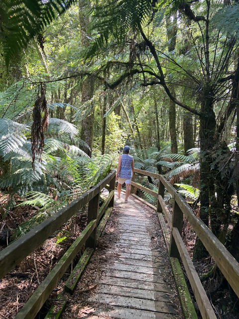 Wirrawilla Rainforest Walk - Kalgoorlie Accommodation 2