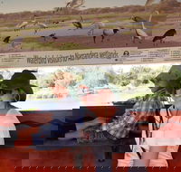 Bird Watching in Narrandera - Kalgoorlie Accommodation