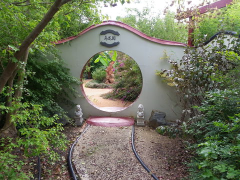 Black Dragon Gardens Wulong Yuan - Kalgoorlie Accommodation 0