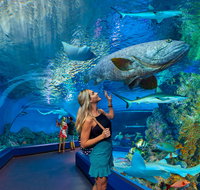 Cairns Aquarium - Kalgoorlie Accommodation