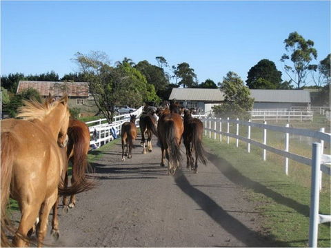 Darkes Forest Riding Ranch - Kalgoorlie Accommodation 0