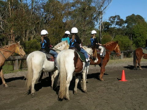 Darkes Forest Riding Ranch - Kalgoorlie Accommodation 1