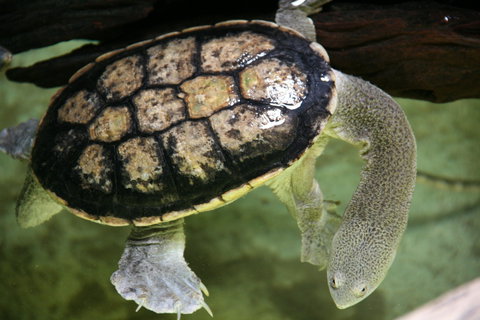 Discover Deadly - Kalgoorlie Accommodation 1